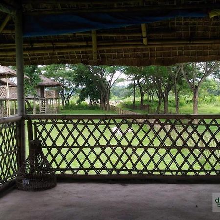 Dhansiri Eco Camp Bokakhat ภายนอก รูปภาพ